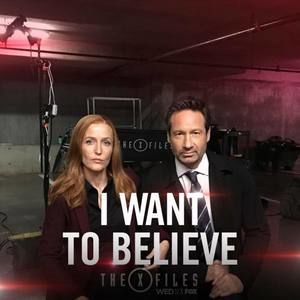 Meet your Posher, Traci